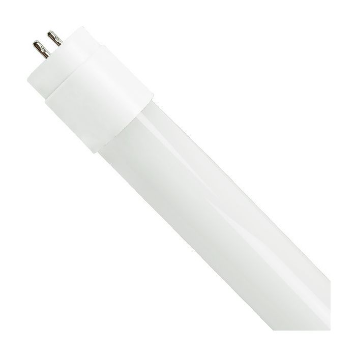 Commercial LED L25T55KBCL95 5000K 4' T8 Type B Tube