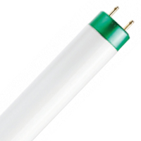T8 Bi-Pin