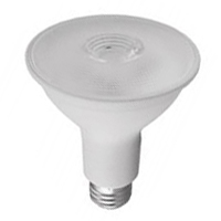 LED PAR